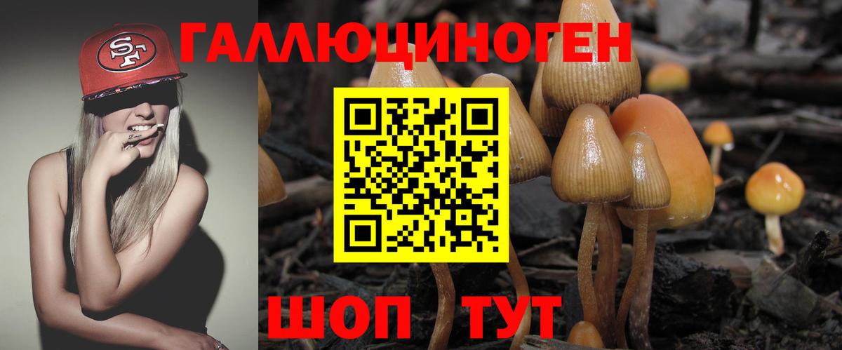 Псилоцибиновые грибы ЛСД Ефремов