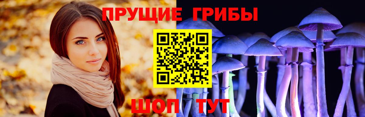 наркотики  Вход с VPN  Ефремов  Галлюциногенные грибы прущие грибы  Галлюциногенные грибы Cubensis 